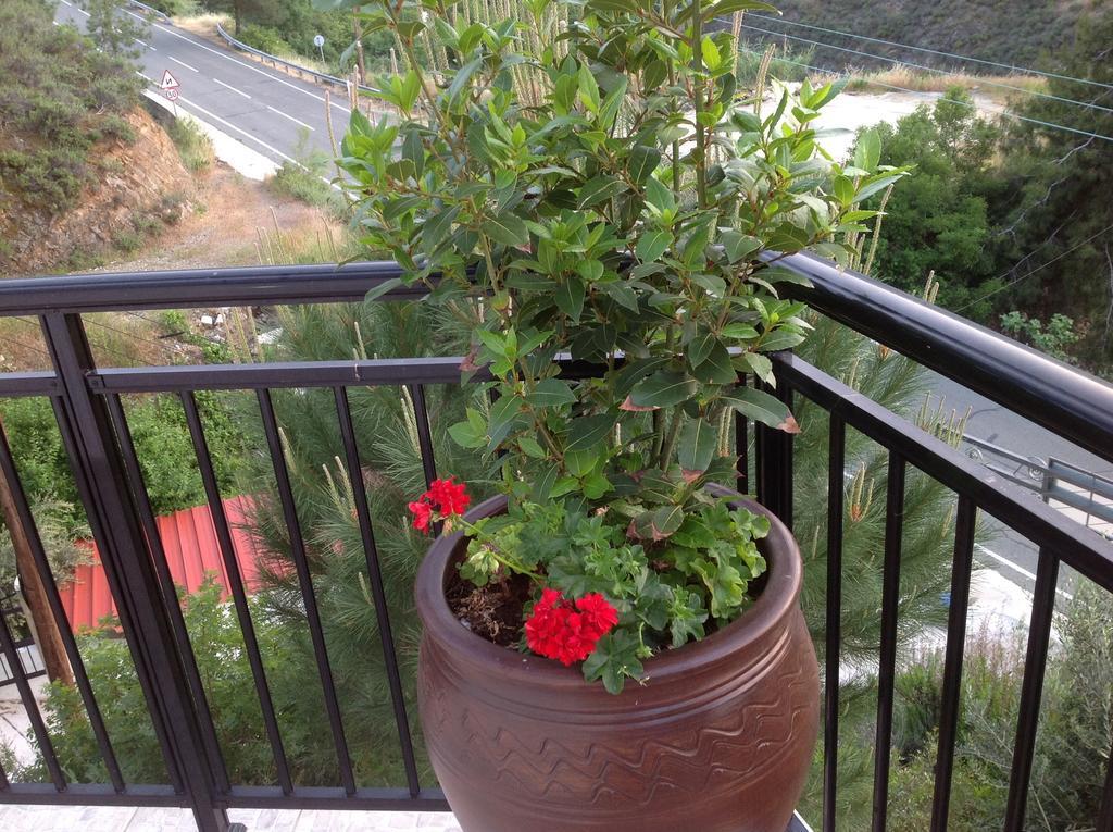 Ta Spitakia Tis Theodosias Apartment กาโลปานาโยติส ภายนอก รูปภาพ